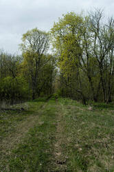 _9626.thumb.jpg.fe2af281a2aaf90c657b7718365a30af.jpg
