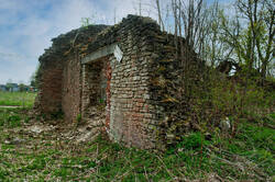 _9682(1)_SL.thumb.jpg.0de7edfd5a7d7f62e4e09e5978d02185.jpg