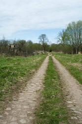 _9699.thumb.jpg.5d16abbe9b7a25f453a6d9fe391fe2d8.jpg