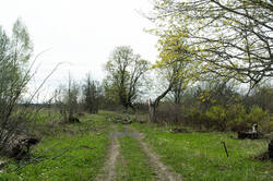 _9703.thumb.jpg.e4e99080abad1c466e9cf3854810b11c.jpg