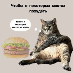 a8_f3dFm0EqXPyvsK2wwVis_7vW5f7kAc6trOwbc5oBGXgUnZISsec79RUMj-dAnNIZLMOFoIjtkrhFkOZ6qQd8u.thumb.jpg.7380a4d4da0b87ae4223c4373699ebcc.jpg