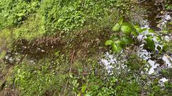 image-16-06-26-13-57.jpeg