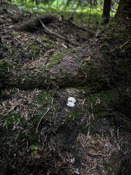 image-30-06-26-13-10-18.jpg