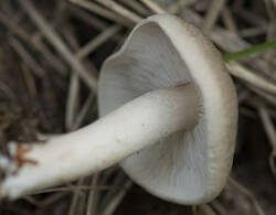 1400_DSC2166.thumb.jpg.ed68285147d3aa403284a348bc45ce8e.jpg