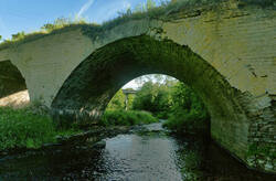 170031199__9993__S.thumb.jpg.718c14f4dc65fad421e5f6091fc5ee56.jpg