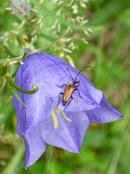 20260624-TAGE0325.thumb.jpg.4ad5c204c6960d5c60d432b11510bcb0.jpg