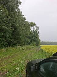 20260704_082108.jpg