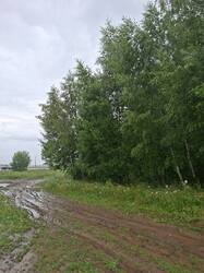 20260704_082125.jpg