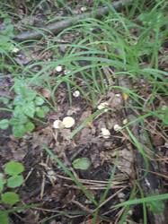 20260704_104020.jpg