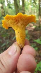 20260705_163708.jpg