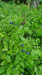 20260705_170939.jpg