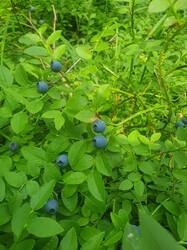 20260711_111801.jpg
