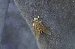 487077795_26-07-10-.thumb.JPG.d676549c7954e6846c74bc7b2c3af3ff.JPG