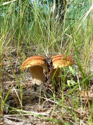 IMG_20260727_094104[1].jpg
