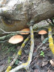 IMG_20260723_084030[1].jpg