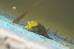 DSC08850.jpg