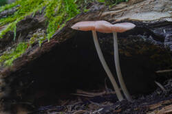 DSC08902.jpg