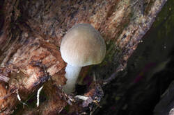 DSC08905.jpg