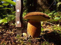 DSCF7024.JPG