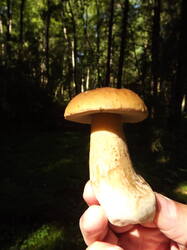 DSCF7029.JPG