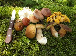 DSCF7032.JPG