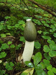 DSCF7036.JPG
