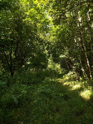 DSCF7037.JPG