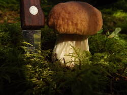 DSCF7044.JPG