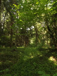 DSCF7047.JPG