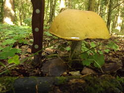 DSCF7048.JPG