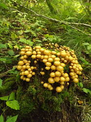DSCF7049.JPG