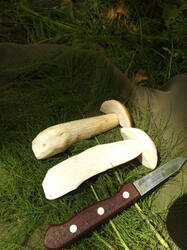 DSCF7056.JPG