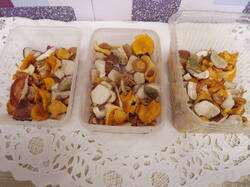 DSCF7064.JPG