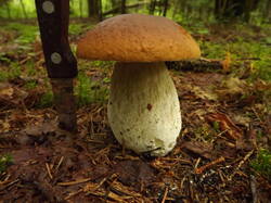 DSCF7072.JPG