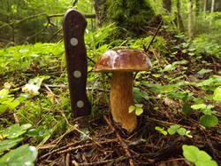 DSCF7073.JPG