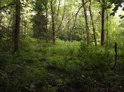 DSCF7074.JPG