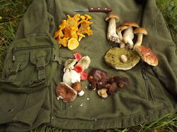 DSCF7076.JPG