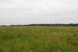 DSC_7418.thumb.jpg.7592fdce3baa48e87b2925f0cc7cf744.jpg