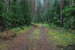 DSC_7460.thumb.jpg.b004315f57cb6ac0b36ee4fd6083a1ba.jpg