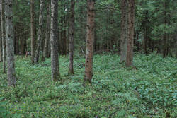 DSC_7573.thumb.jpg.7c952946e88d9b37b8a33fe52805a090.jpg
