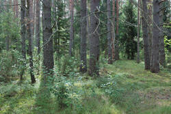 DSC_7640.thumb.jpg.3c11be9f682459be6fe2e16b17594063.jpg