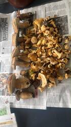IMG-20260704-WA0000.jpg