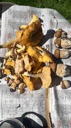 IMG-20260717-WA0000.jpg