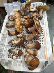 IMG-20260721-WA0000.jpg