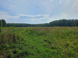 IMG20260710103319.thumb.jpg.536c0bb591ce5b440e14090fb27dc7fa.jpg