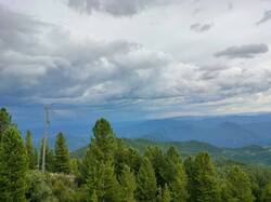 IMG20260718154837.thumb.jpg.548e16a38225d9919efab9b4ee0e2c2b.jpg