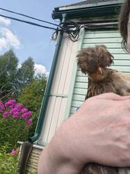 IMG20260720143938.jpg