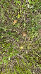 IMG20260721112310.jpg