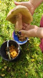 IMG20260722110113.jpg