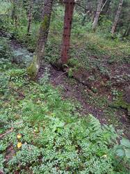 IMG20260723082741.jpg